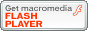 > download flash plugin